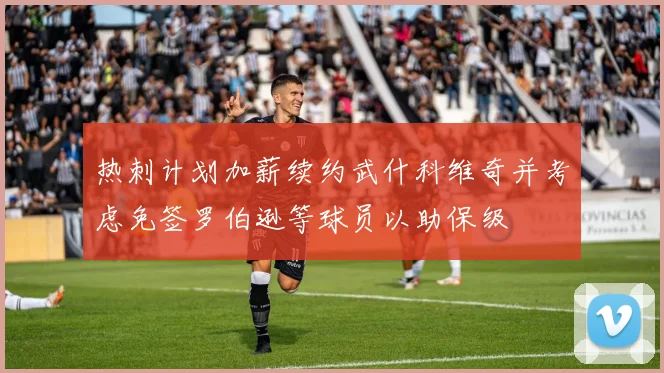 热刺计划加薪续约武什科维奇并考虑免签罗伯逊等球员以助保级